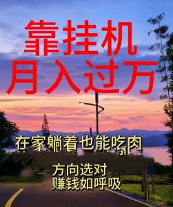 （10838期）靠挂机，日入1000+，躺着也能吃肉，电脑手机都可挂-中创网_专注互联网创业,项目资源整合