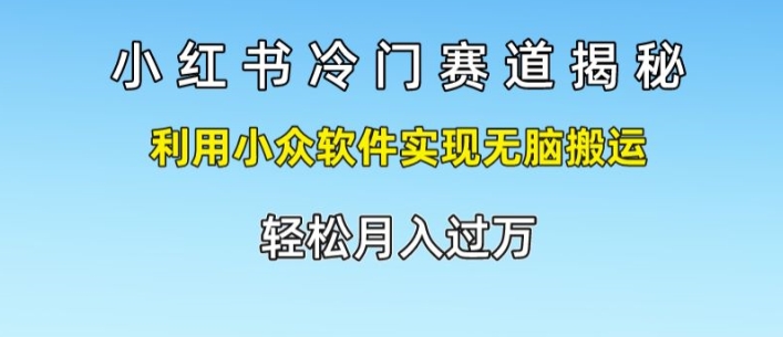 小红书的小众跑道揭密，运用小众软件完成没脑子运送，轻轻松松月入了万-中创网_专注互联网创业,项目资源整合