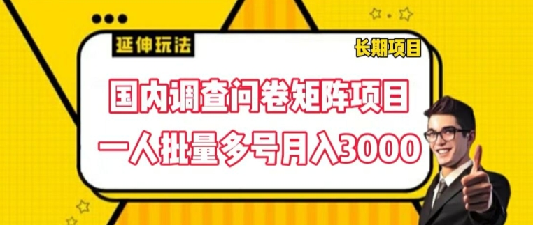 国内调查问卷矩阵项目，一人批量多号月入3000【揭秘】-中创网_专注互联网创业,项目资源整合