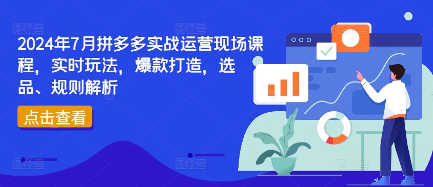 2024年7月拼多多平台实战演练经营当场课程内容，即时游戏玩法，爆款打造，选款、标准分析-中创网_专注互联网创业,项目资源整合