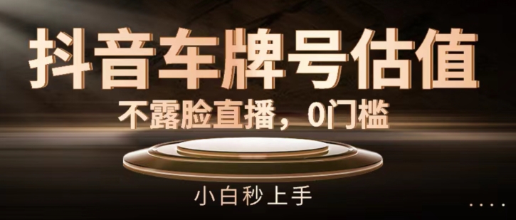 抖音车型号公司估值，不露脸直播，0门坎，新手秒入门【揭密】-中创网_专注互联网创业,项目资源整合