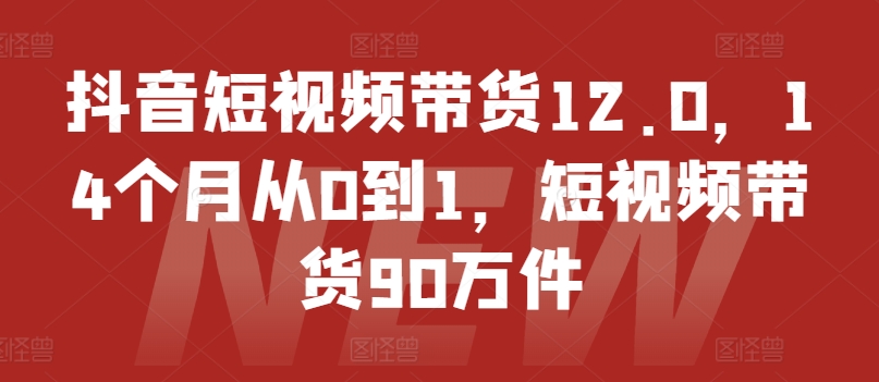 抖音小视频卖货12.0，14个月从0到1，短视频卖货90千件-皓哥创业笔记