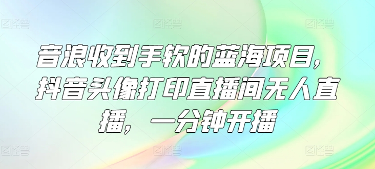 音浪收到手软的蓝海项目，抖音头像打印直播间无人直播，一分钟开播-皓哥创业笔记