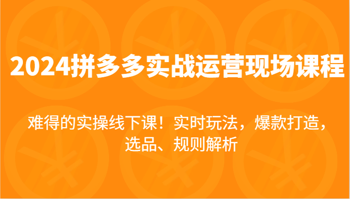 2024拼多多平台实战演练经营当场课，即时游戏玩法，爆款打造，选款、标准分析，不可多得的实际操作面授课！-中创网_专注互联网创业,项目资源整合