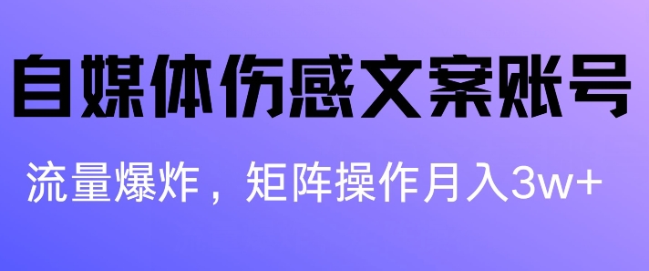 自媒体平台伤感文案账户，制作简单，总流量发生爆炸账户非常容易拷贝，引流矩阵月入1W-中创网_专注互联网创业,项目资源整合