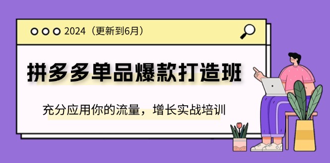 （11556期）2024拼多多平台-品类爆款打造班(升级6月)，充分应用你的流量，提高实战培训-中创网_专注互联网创业,项目资源整合