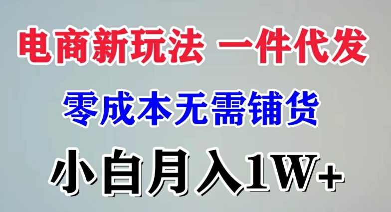 电子商务新模式 一件代发,零成本不用进货，新手月入1W-中创网_专注互联网创业,项目资源整合