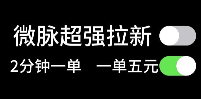 微脉没脑子引流，每一单5元钱，轻轻松松日入三位数-中创网_专注互联网创业,项目资源整合