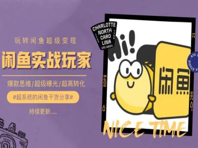 教你如何0到1系统软件轻松玩闲鱼平台转现，爆品逻辑思维/非常曝出/极高转换-中创网_专注互联网创业,项目资源整合