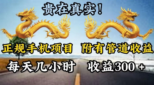 靠谱手机项目，附带丰富多样的管道收益，每日几个小时，盈利300-皓哥创业笔记
