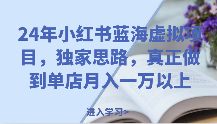 24年小红书的瀚海虚拟资源项目，独家代理构思，充分体现门店月入一万之上。-中创网_专注互联网创业,项目资源整合