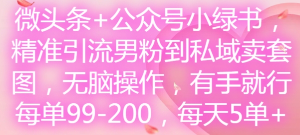 头条 微信公众号小绿书，精准引流方法粉丝到公域卖套图，没脑子实际操作，有手就行，每一单99-200，每日5单-中创网_专注互联网创业,项目资源整合