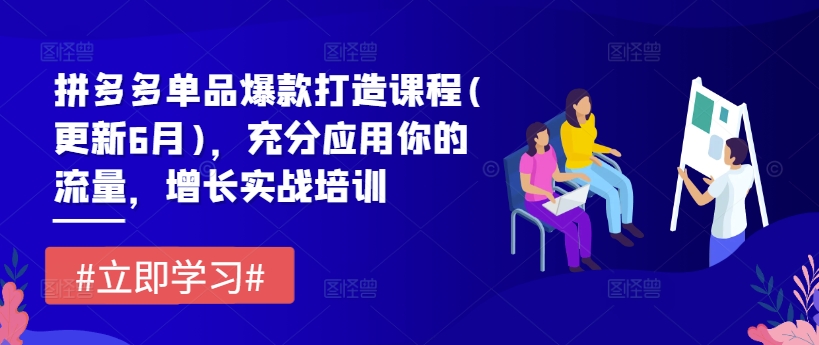 拼多多平台品类爆款打造课程内容(升级6月)，充分应用你的流量，提高实战培训-中创网_专注互联网创业,项目资源整合