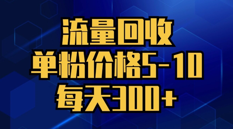 总流量回收利用，单粉价钱5-10，每日300 ，轻轻松松月入五位数-中创网_专注互联网创业,项目资源整合