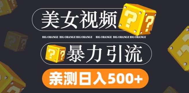 搬运tk美女视频全网分发，日引s粉300+，轻松变现，不限流量不封号【揭秘】-中创网_专注互联网创业,项目资源整合