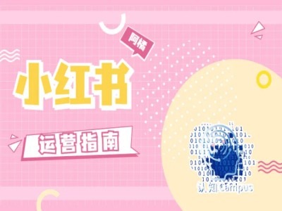 小红书运营手册，无套路，都是工作经验-中创网_专注互联网创业,项目资源整合