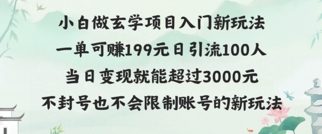 玄学项目入小白入门新玩法一单可赚199元日变现200+不封号不违规-番茄副业网