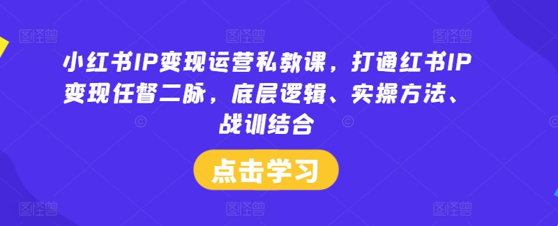 小红书IP变现运营私教课，打通红书IP变现任督二脉，底层逻辑、实操方法、战训结合-中创网_专注互联网创业,项目资源整合