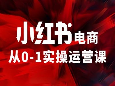 小红书电商从0-1实际操作运营课，使你从小白到精锐-中创网_专注互联网创业,项目资源整合