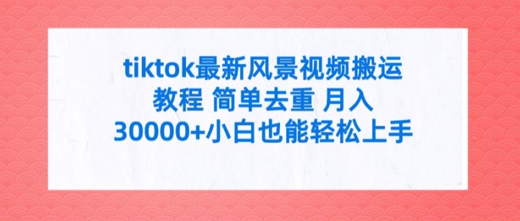 tiktok全新景色视频搬运实例教程 简易去重复 月入3W 新手也可以快速上手【揭密】-中创网_专注互联网创业,项目资源整合
