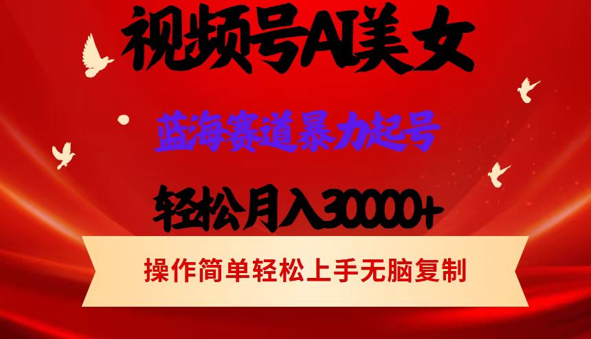 （12178期）视频号AI美女跳舞，轻松月入30000+，蓝海赛道，流量池巨大，起号猛，当…-中创网_专注互联网创业,项目资源整合