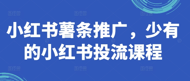 小红书的炸薯条营销推广，难得少有的小红书投流课程内容-中创网_专注互联网创业,项目资源整合