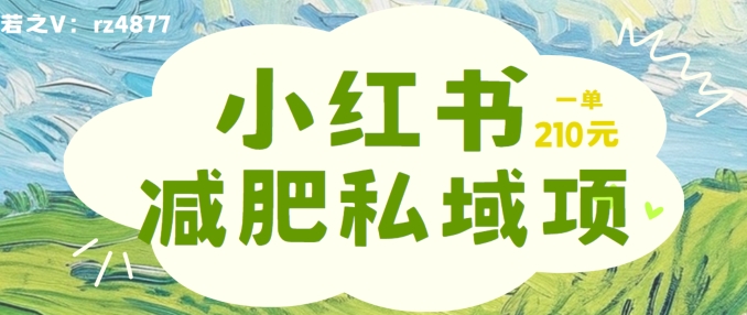 小红书减肥粉，私域变现项目，一单就达210元，小白也能轻松上手【揭秘】-中创网_专注互联网创业,项目资源整合