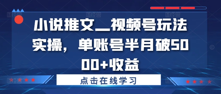 小说推文—视频号玩法实操，单账号半月破5000+收益-中创网_专注互联网创业,项目资源整合
