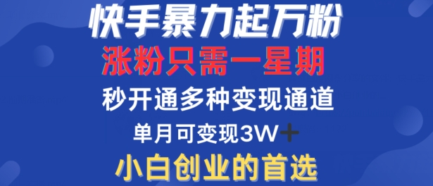 快手暴力起万粉，涨粉只需一星期，多种变现模式，直接秒开万合，单月变现过W【揭秘】-番茄副业网