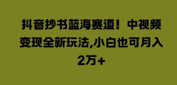 抖音抄书蓝海赛道，中视频变现全新玩法，小白也可月入2W+-中创网_专注互联网创业,项目资源整合
