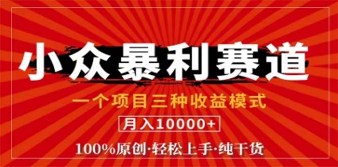 （12756期）视频号最新爆火赛道，三种可收益模式，0粉新号条条原创条条热门 日入1000+-中创网_专注互联网创业,项目资源整合