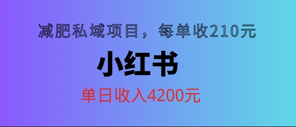 小红书减肥私域项目，每单210元，单日可卖出15单，利润3150-中创网_专注互联网创业,项目资源整合