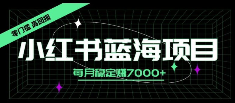 小红书蓝海项目，零门槛、高回报，每月稳定赚7000+-中创网_专注互联网创业,项目资源整合