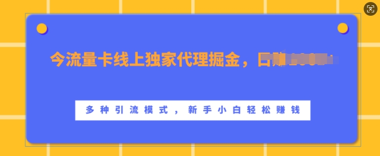 上网卡网上独家经营掘金队，日入1k ，多种多样引流方法方式，新手入门快速上手【揭密】-中创网_专注互联网创业,项目资源整合