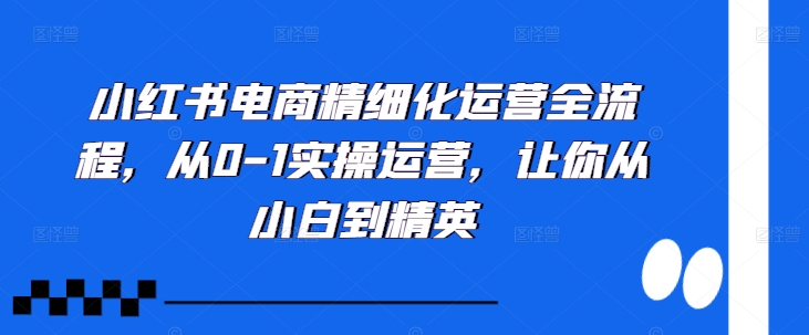 小红书电商精细化营销全过程，从0-1实际操作经营，使你从小白到精锐-中创网_专注互联网创业,项目资源整合