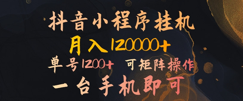 抖音小程序放置挂机蓝海项目，月入1.2w，一台手机即可操作，可引流矩阵实际操作-中创网_专注互联网创业,项目资源整合