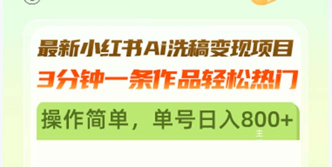 （13182期）最新小红书Ai洗稿变现项目 3分钟一条作品轻松热门 操作简单，单号日入800+-中创网_专注互联网创业,项目资源整合