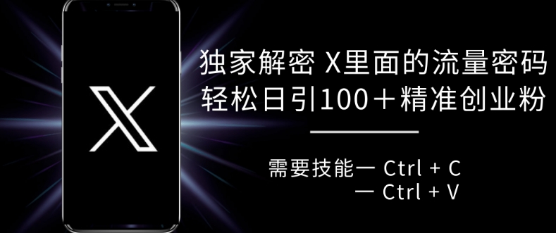 独家代理破译 X 里边的总流量登陆密码，拷贝轻轻松松日引100-中创网_专注互联网创业,项目资源整合