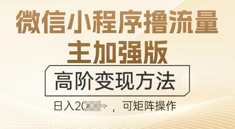 微信小程序撸流量主加强版，高阶变现方法，日收益多张-中创网_专注互联网创业,项目资源整合
