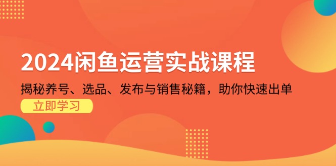 （13290期）2024闲鱼运营实战课程：揭秘养号、选品、发布与销售秘籍，助你快速出单-中创网_专注互联网创业,项目资源整合