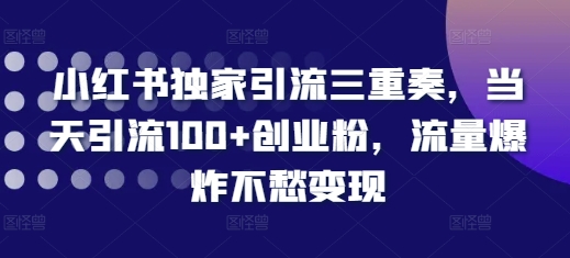 小红书独家引流三重奏，当天引流100+创业粉，流量爆炸不愁变现【揭秘】-中创网_专注互联网创业,项目资源整合