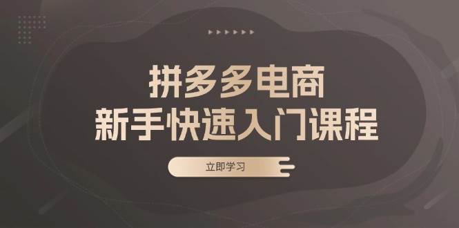 拼多多电商初学者迅速入门课程：包含基本、实战演练与选品，助推新手快速上手-中创网_专注互联网创业,项目资源整合