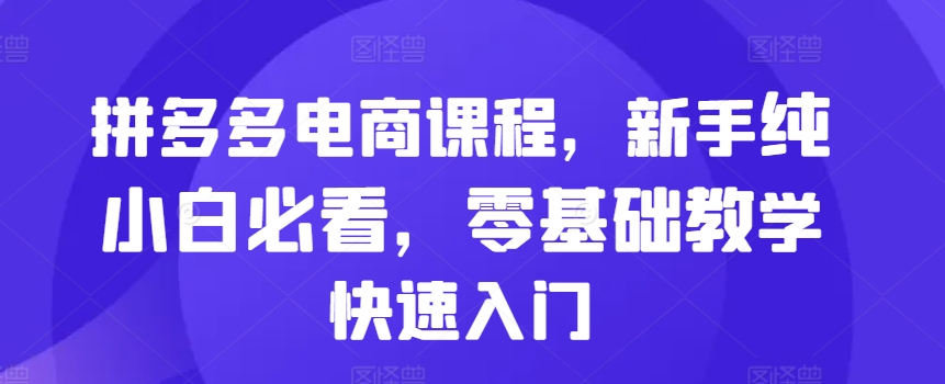 拼多多电商课程内容，初学者纯小白必读，零基础教学快速上手-中创网_专注互联网创业,项目资源整合