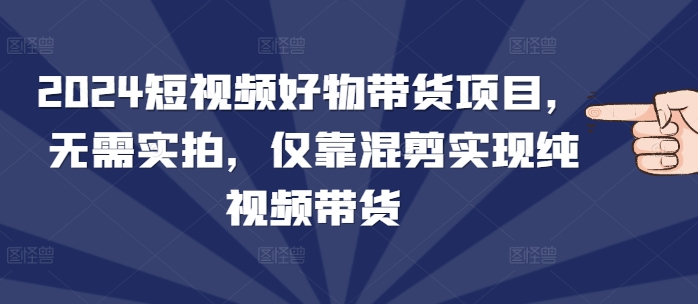 2024短视频好物带货项目，无需实拍，仅靠混剪实现纯视频带货-中创网_专注互联网创业,项目资源整合