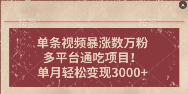 一条作品涨万粉，轻松上手，单月简单变现3000+-中创网_专注互联网创业,项目资源整合