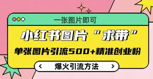 小红书图片‘求带’爆火引流法，单张图片引流500+精准创业粉【揭秘】-中创网_专注互联网创业,项目资源整合