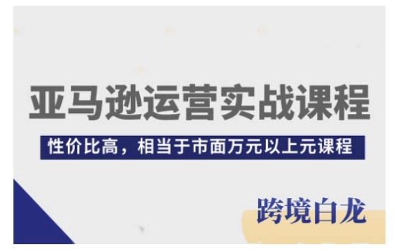 亚马逊运营实战课程，亚马逊从入门到精通，性价比高，相当于市面万元以上元课程-中创网_专注互联网创业,项目资源整合