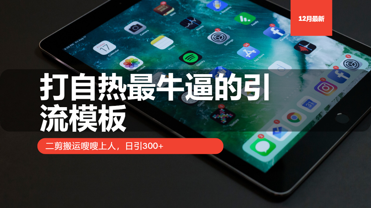 （13654期）打自热最牛逼的引流模板，二剪搬运嗖嗖上人，日引300+-中创网_专注互联网创业,项目资源整合