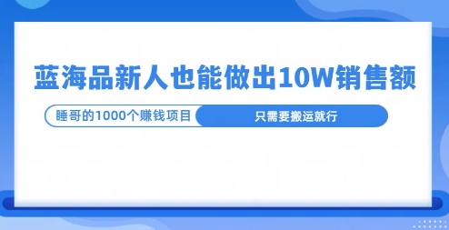 这个蓝海品，新号也能卖出10W的销售额，年底疯狂怼量就能出结果-中创网_专注互联网创业,项目资源整合