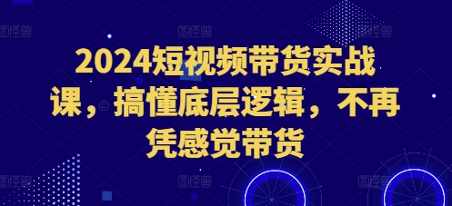 2024短视频带货实战课，搞懂底层逻辑，不再凭感觉带货-中创网_专注互联网创业,项目资源整合
